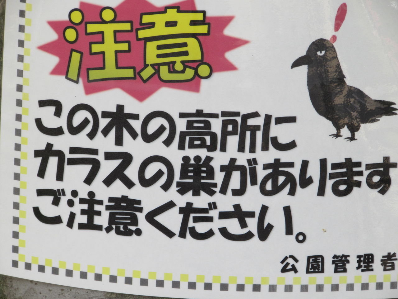 カラスの巣に注意 居場所と出番のあるまち