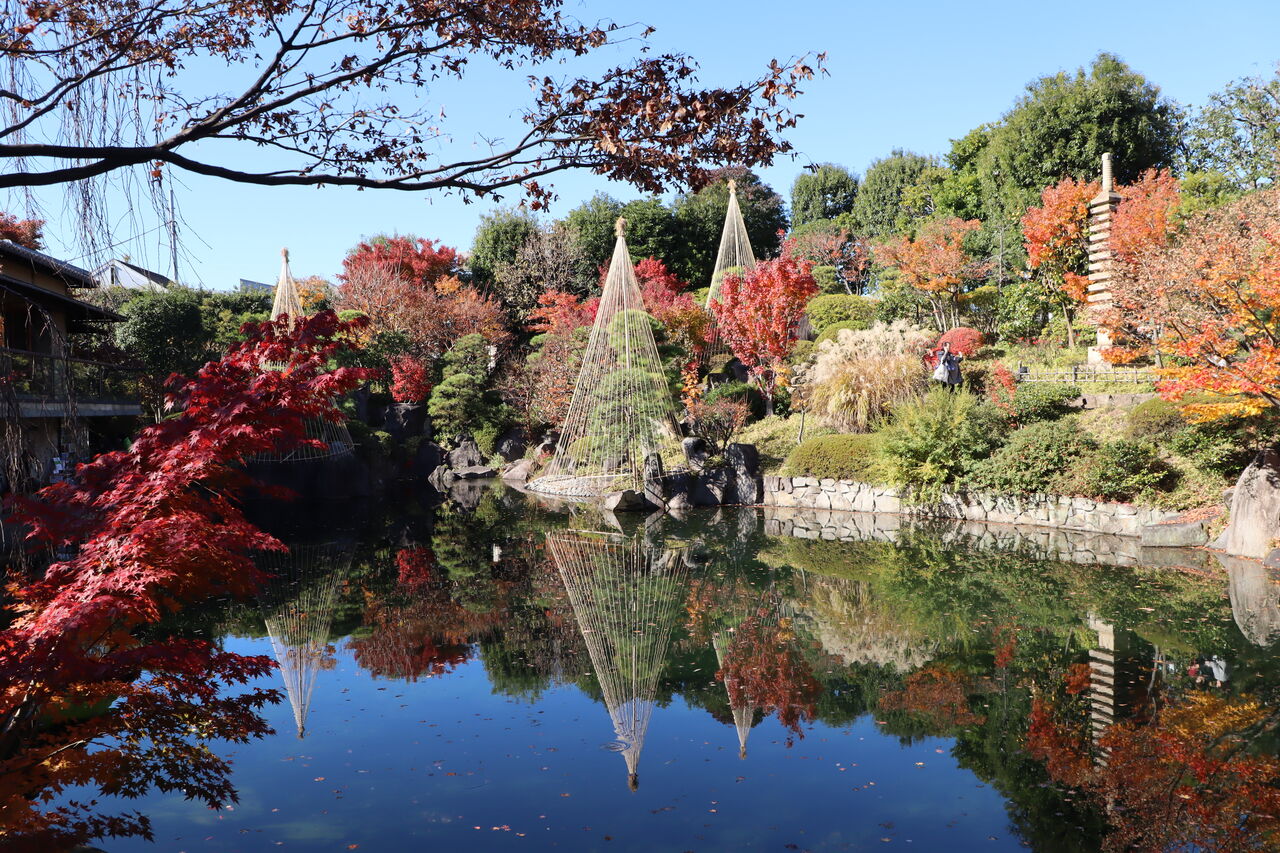 目白庭園の紅葉 居場所と出番のあるまち