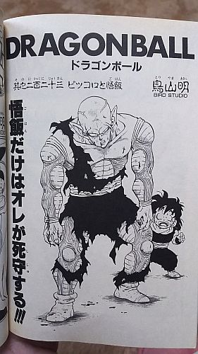 美しいところだけ 好きな人に見てもらったのね Native Mind 美しいところだけ 好きな人に見てもらったのね Native Mind