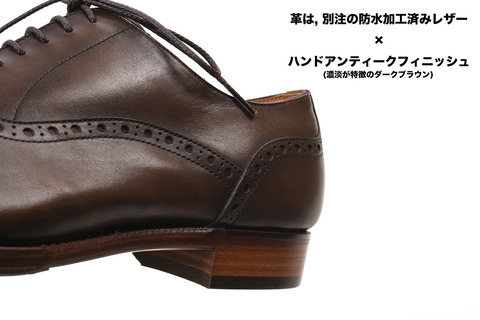 C-7006NT-DBR-9