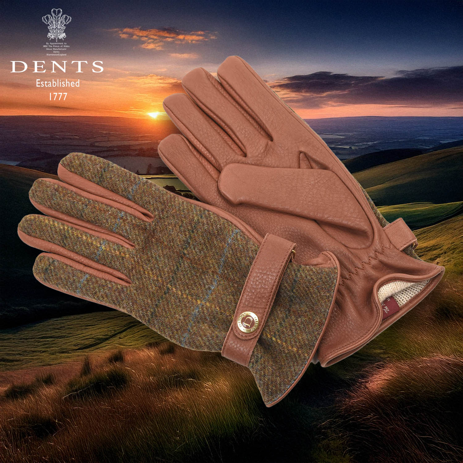 15-1629-HAVANA-13 のコピー