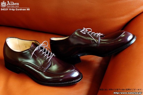 ALDEN-54321-Vtip-NO8-1