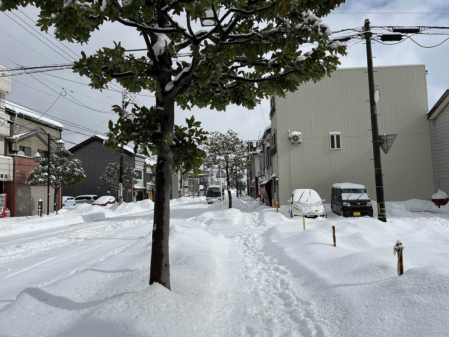 冬将軍、かかってきやがれ。直江津・大雪と本気で付き合う朝