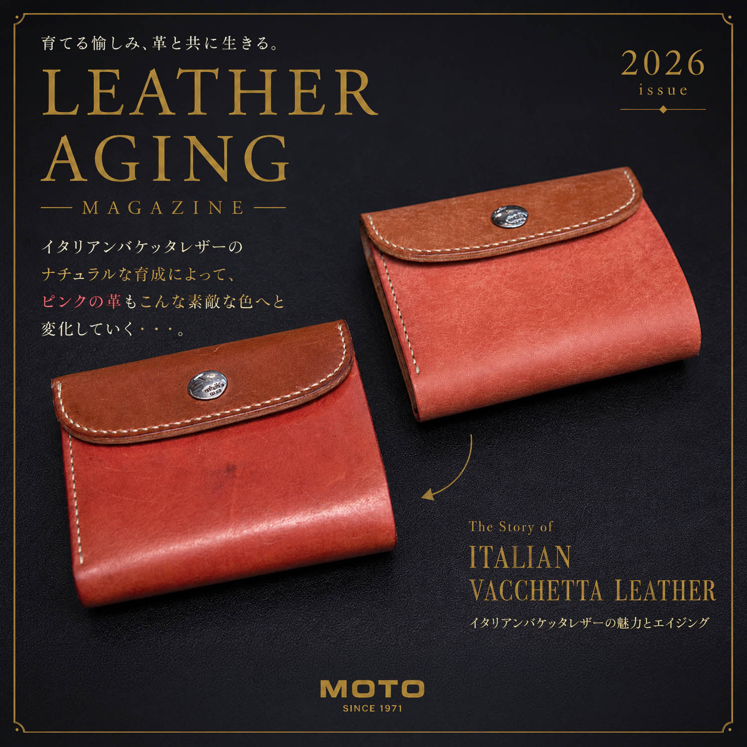 MOTO W5RC