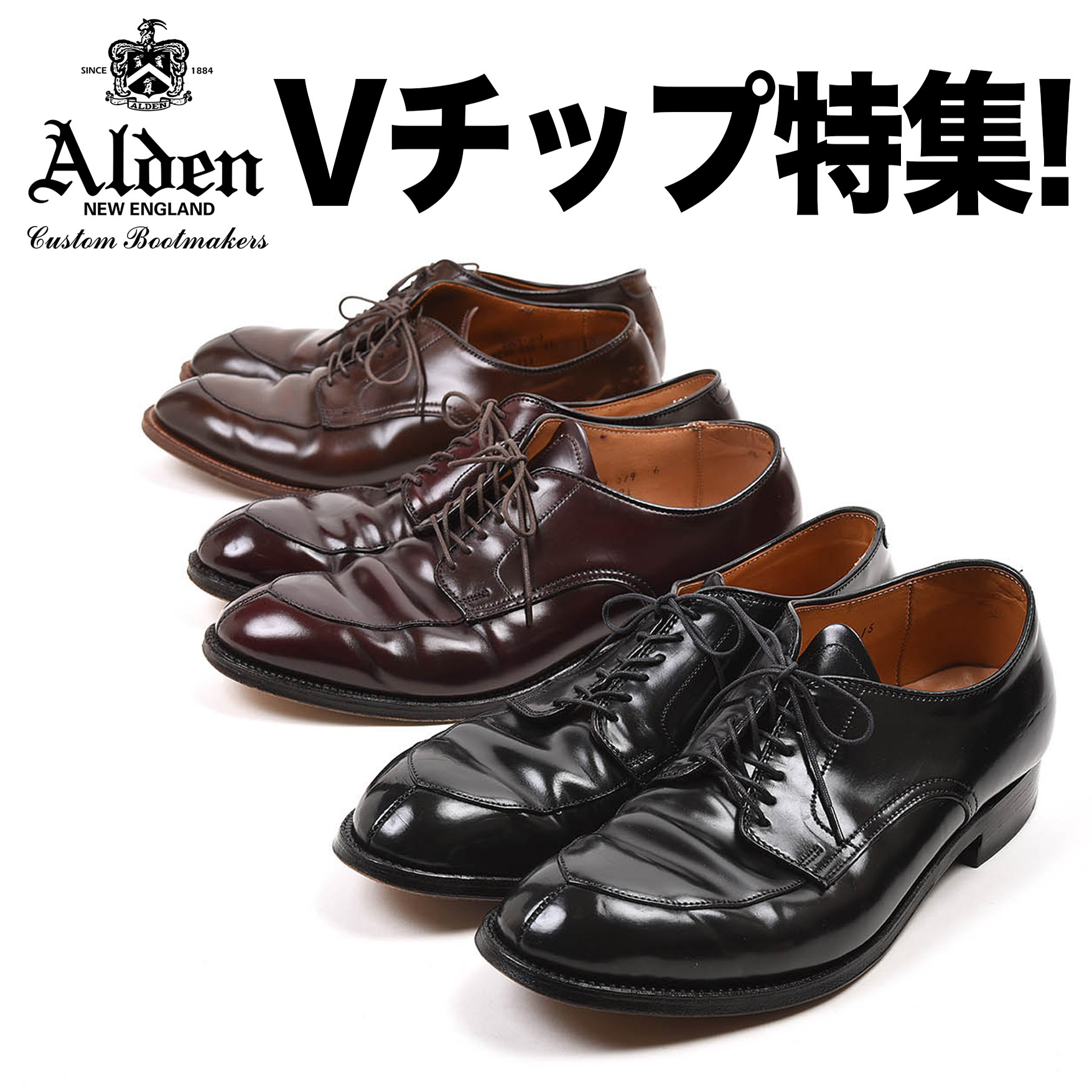 Alden (オールデン) | Vチップ販売店 | シューズサロンなとりや