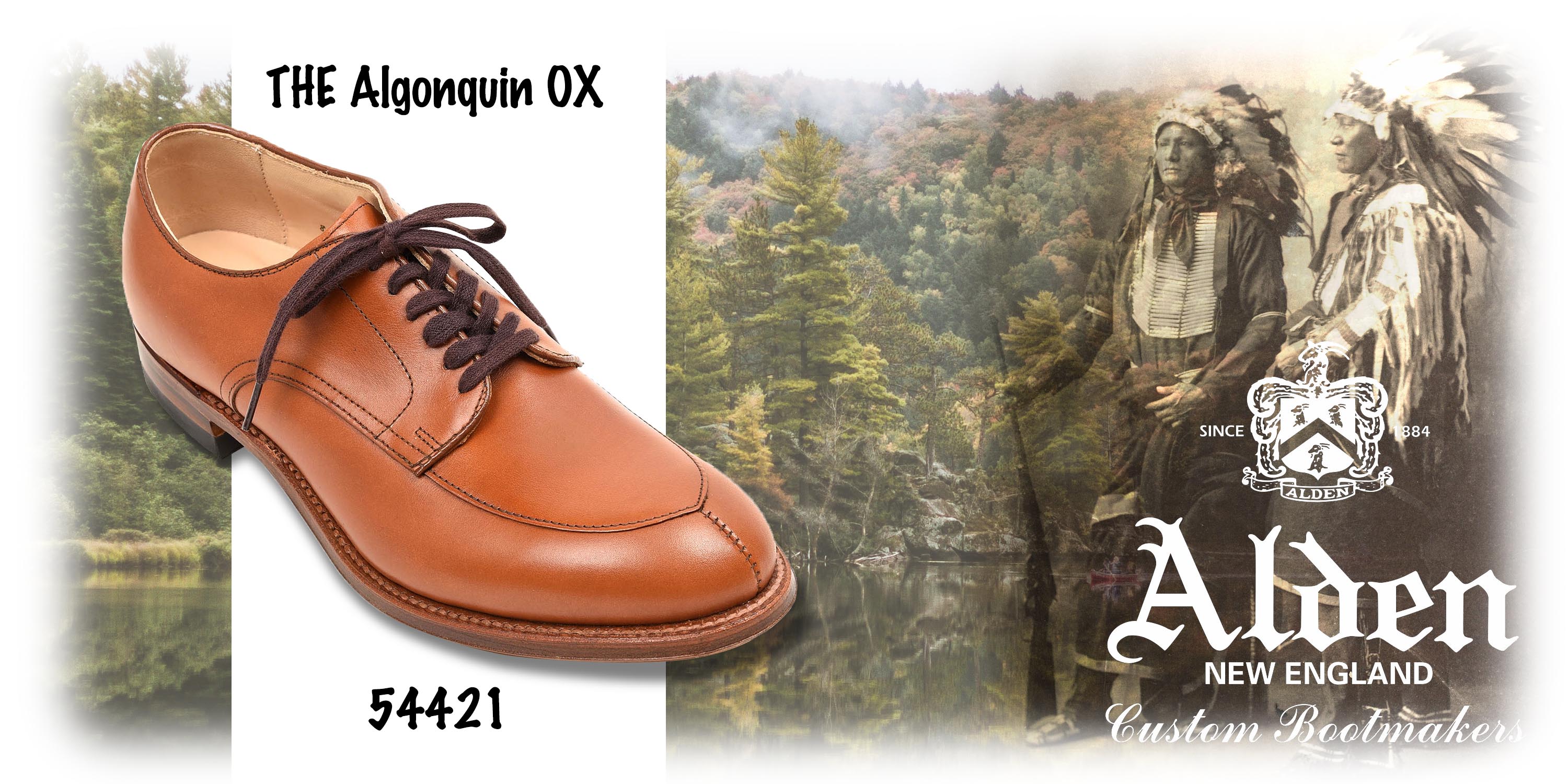 オプション1 入荷 | ALDEN オールデン 54421 Vチップ カーフ TAN : NATORIYAのブログ