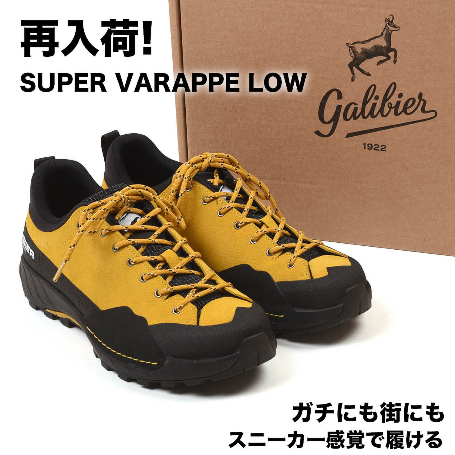 MOTOR 本池秀夫 KUDUレザーナチュラル Lジップ財布 K18サンダーバード