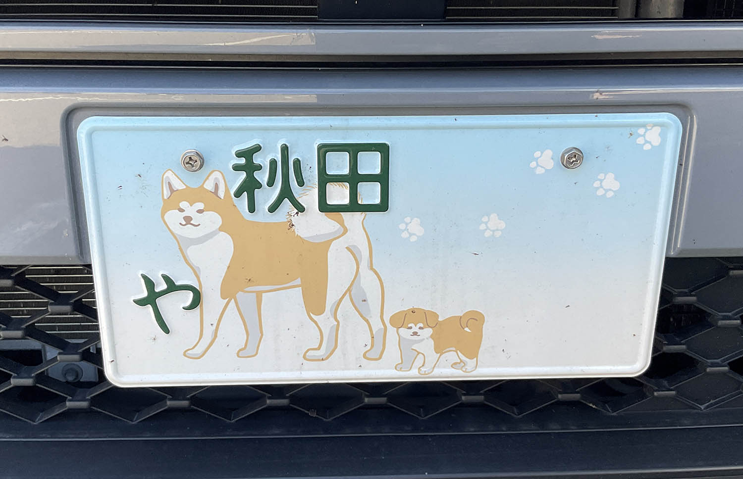 秋田犬ナンバーで会いにきて : NATORIYAのブログ