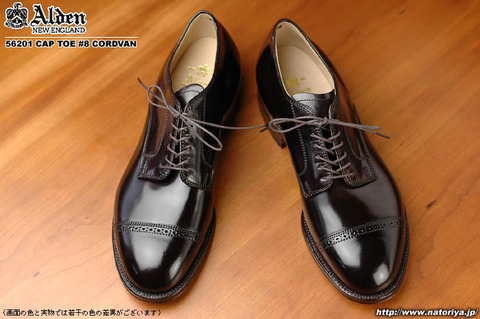 ALDEN-56201-1