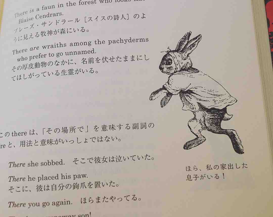 吸血鬼の英文法 がおもしろすぎるので熱く語ります 高卒ですがなにか