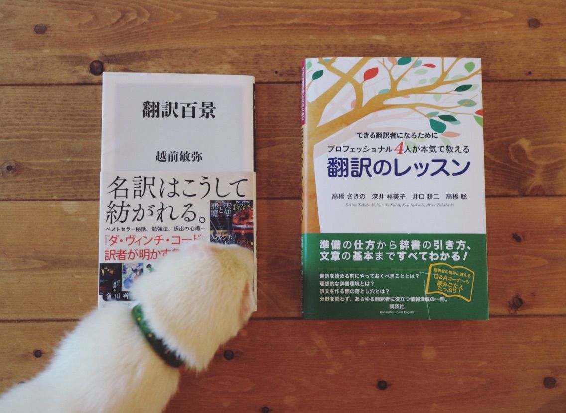 翻訳百景 翻訳のレッスン 高卒ですがなにか 翻訳百景 翻訳のレッスン 高卒ですがなにか