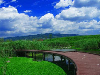 夏ってなんで思い出すとせつないの 夏速報