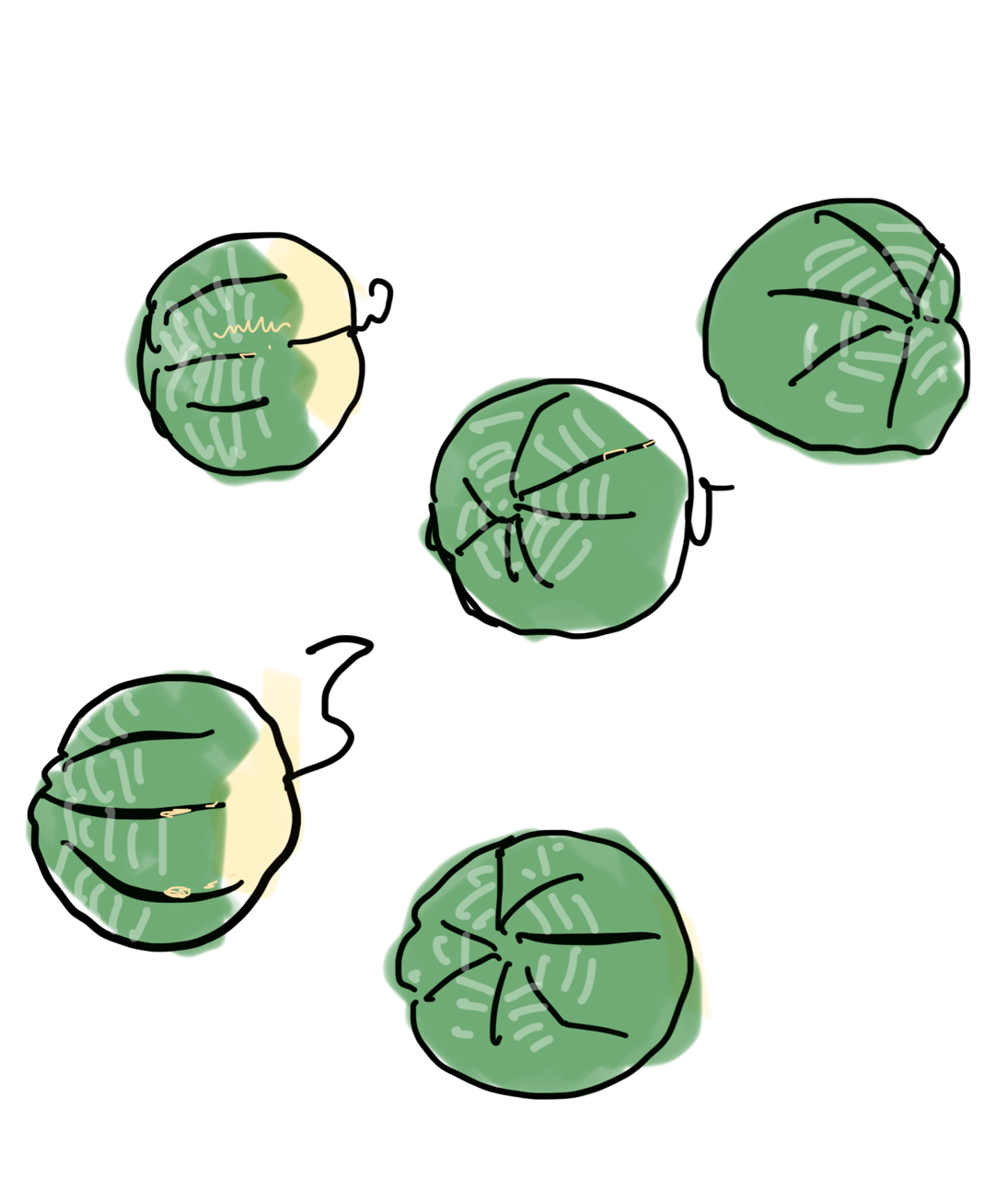 【良株】亀甲オベサ　輸入株 LIGHTHOUSE.PLANTS - 海外実生株のオベサなど輸入植物を販売、卸売する