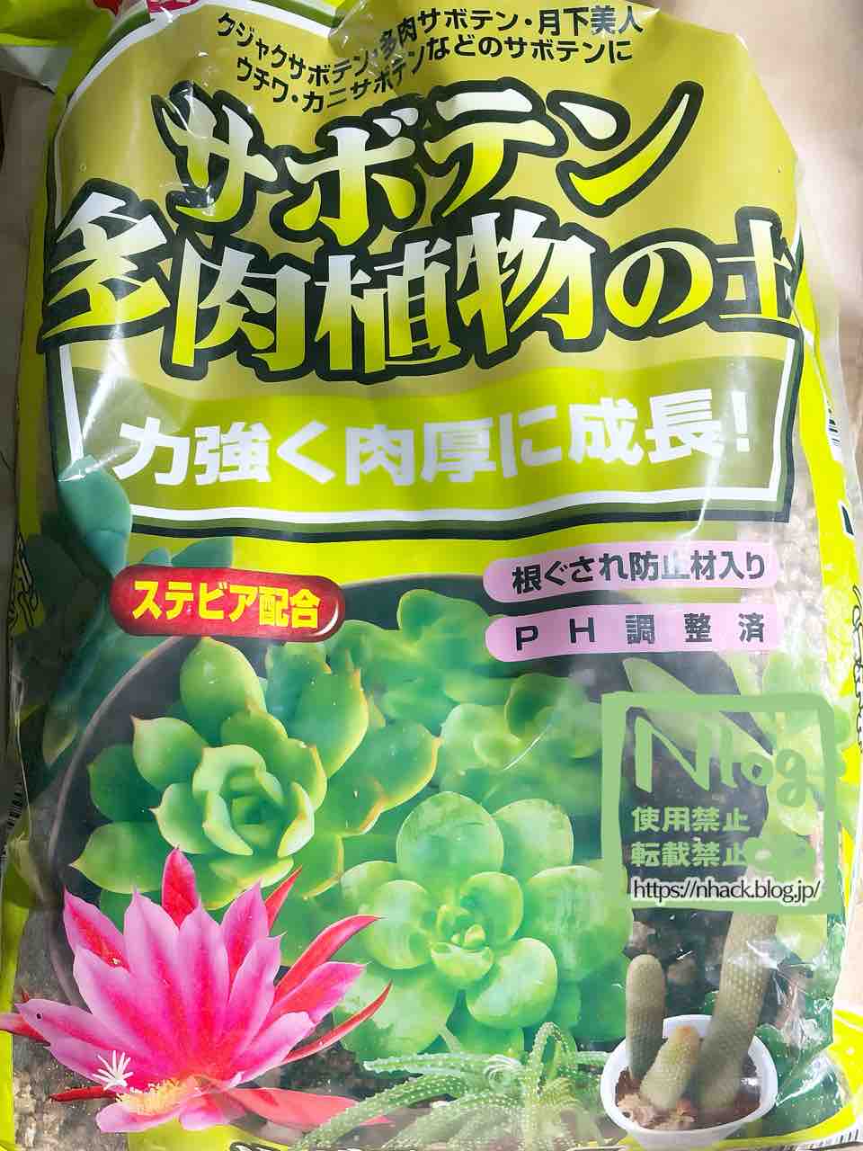 ★奈良研★サボテン・多肉色々★67★グロボシフローラ★ 多肉植物 サボテン（天司丸：テンシマル） 3号 茶色