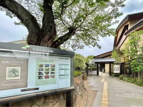 大宮盆栽村クロニクル 大宮盆栽村クロニクル 大宮盆栽村クロニクル | 宮田 一也, 青柳