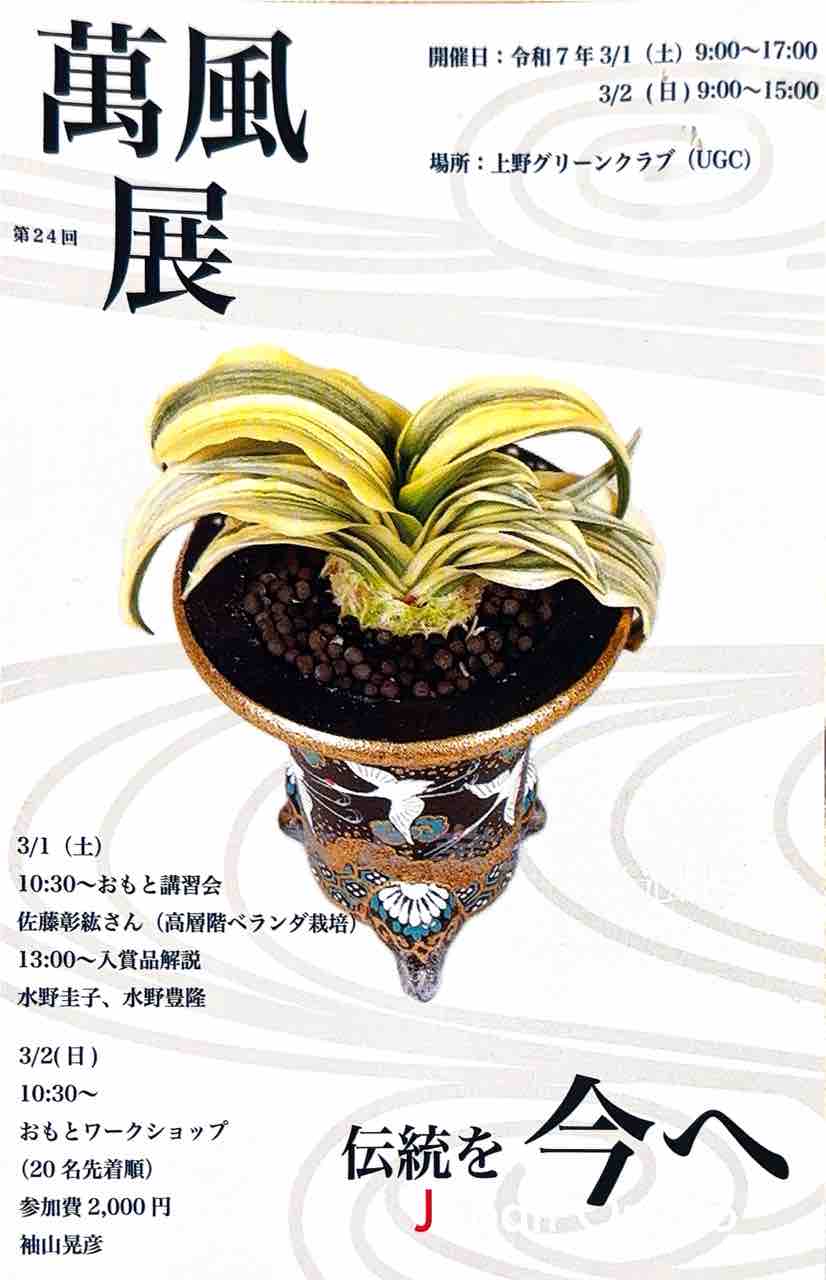 第24回萬風展（上野グリーンクラブの万年青展示）に行ってきました