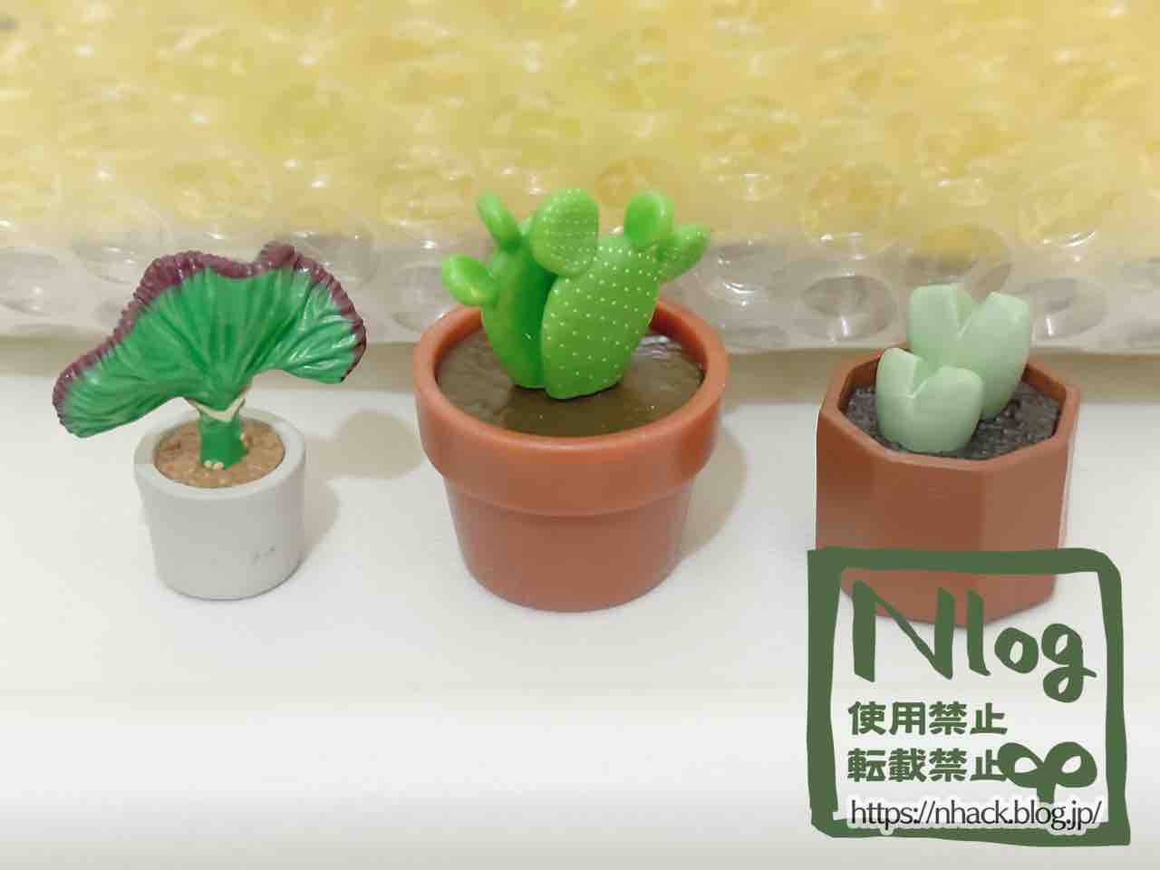サボテンとお風呂に入る！※だいぶしょうもない日記注意※ : N-log【東京