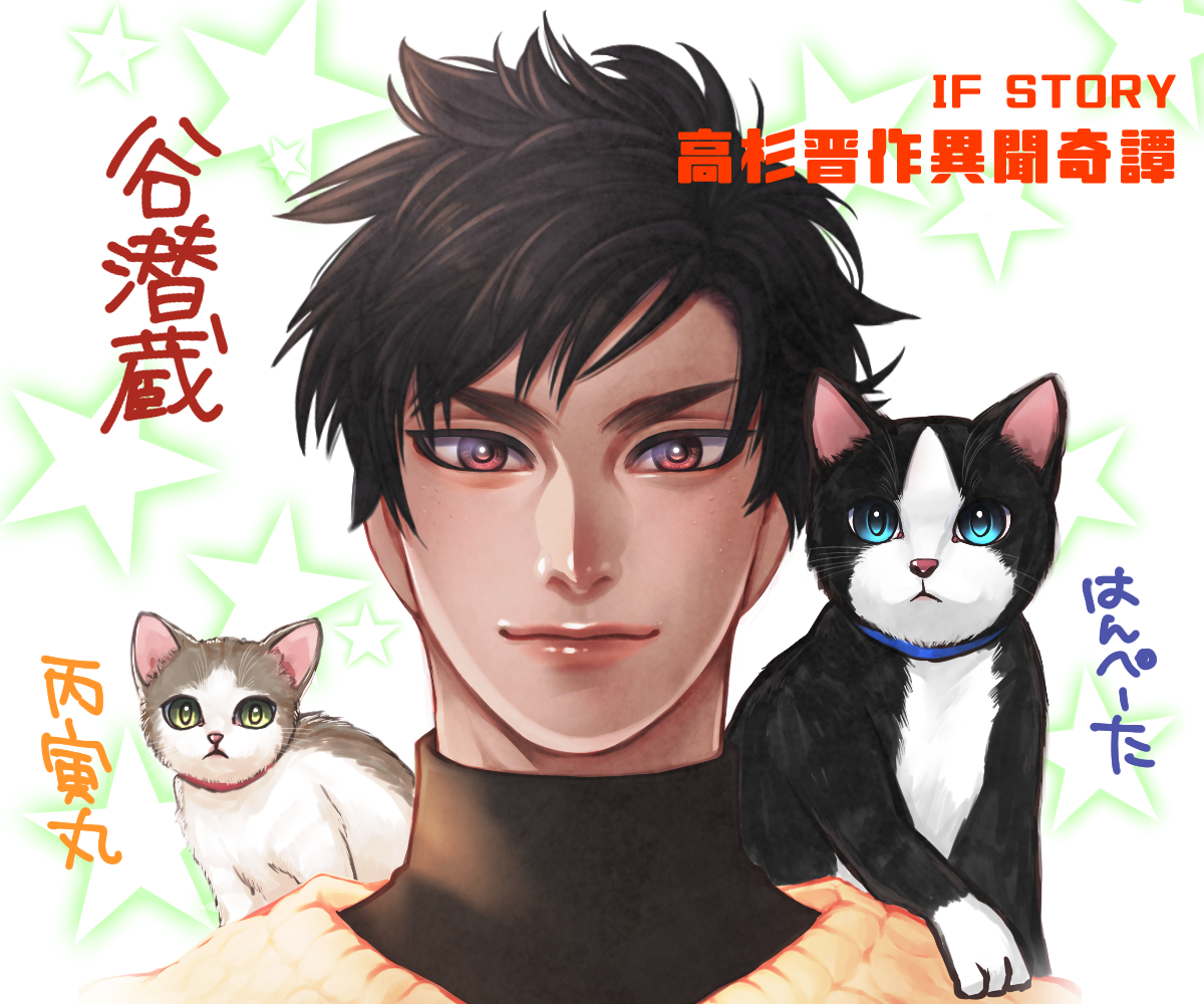 高杉if 高杉晋作異聞奇譚 名前変換用 幕末恋愛遊戯かぐやの君