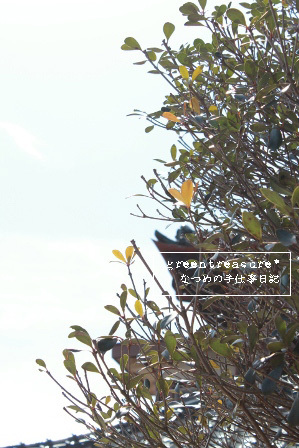 green treasure*～なつめの手仕事日記