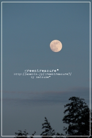 green treasure*～なつめの手仕事日記