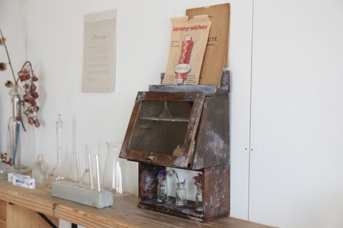 IMG_6993-720x480-1-720x480