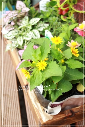 green treasure*～なつめの手仕事日記