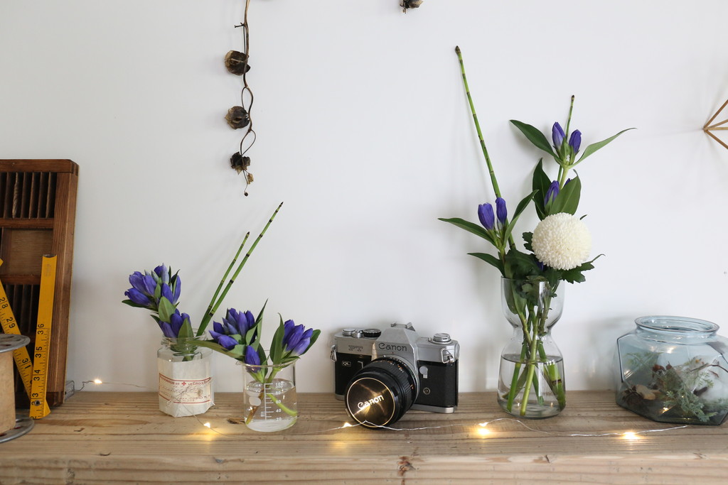 花を楽しむ暮らし 秋の花を飾る 季節の花が楽しめるセット なつめの手仕事日記 Powered By ライブドアブログ