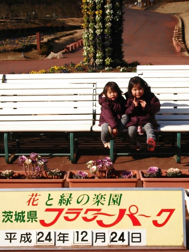 投稿写真