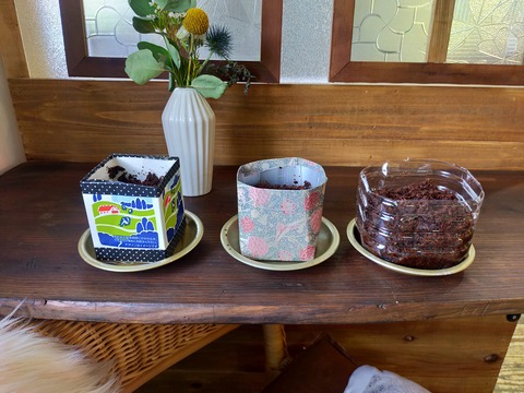 IMG20230423143844
