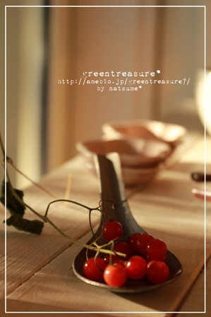 green treasure*～なつめの手仕事日記