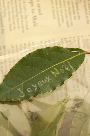 green treasure*～なつめの手仕事日記