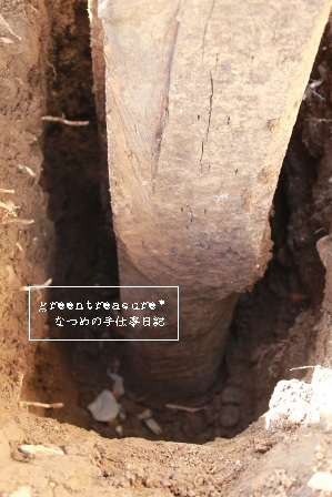 green treasure*～なつめの手仕事日記