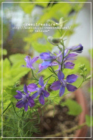 green treasure*～なつめの手仕事日記