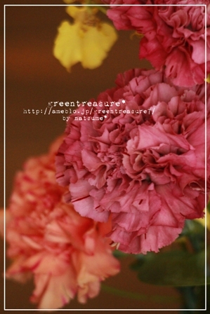 green treasure*～なつめの手仕事日記