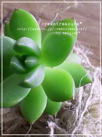 green treasure*～なつめの手仕事日記