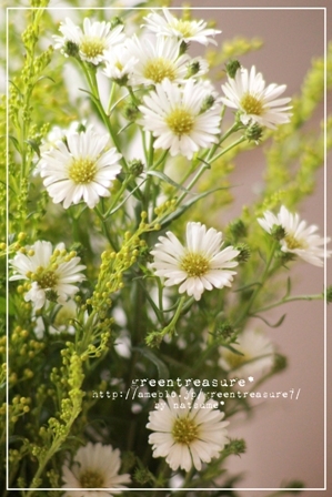 green treasure*～なつめの手仕事日記