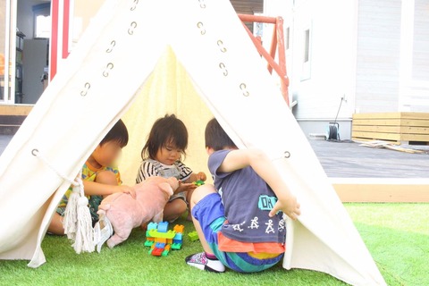 Image_54dea5f1