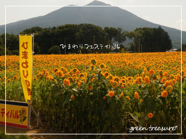 green treasure*～あみあみ編んだりきらきらしたり。