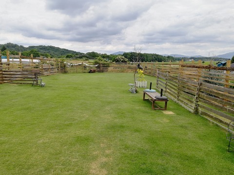 IMG_20200612_132850