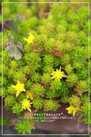 green treasure*~なつめの手仕事日記