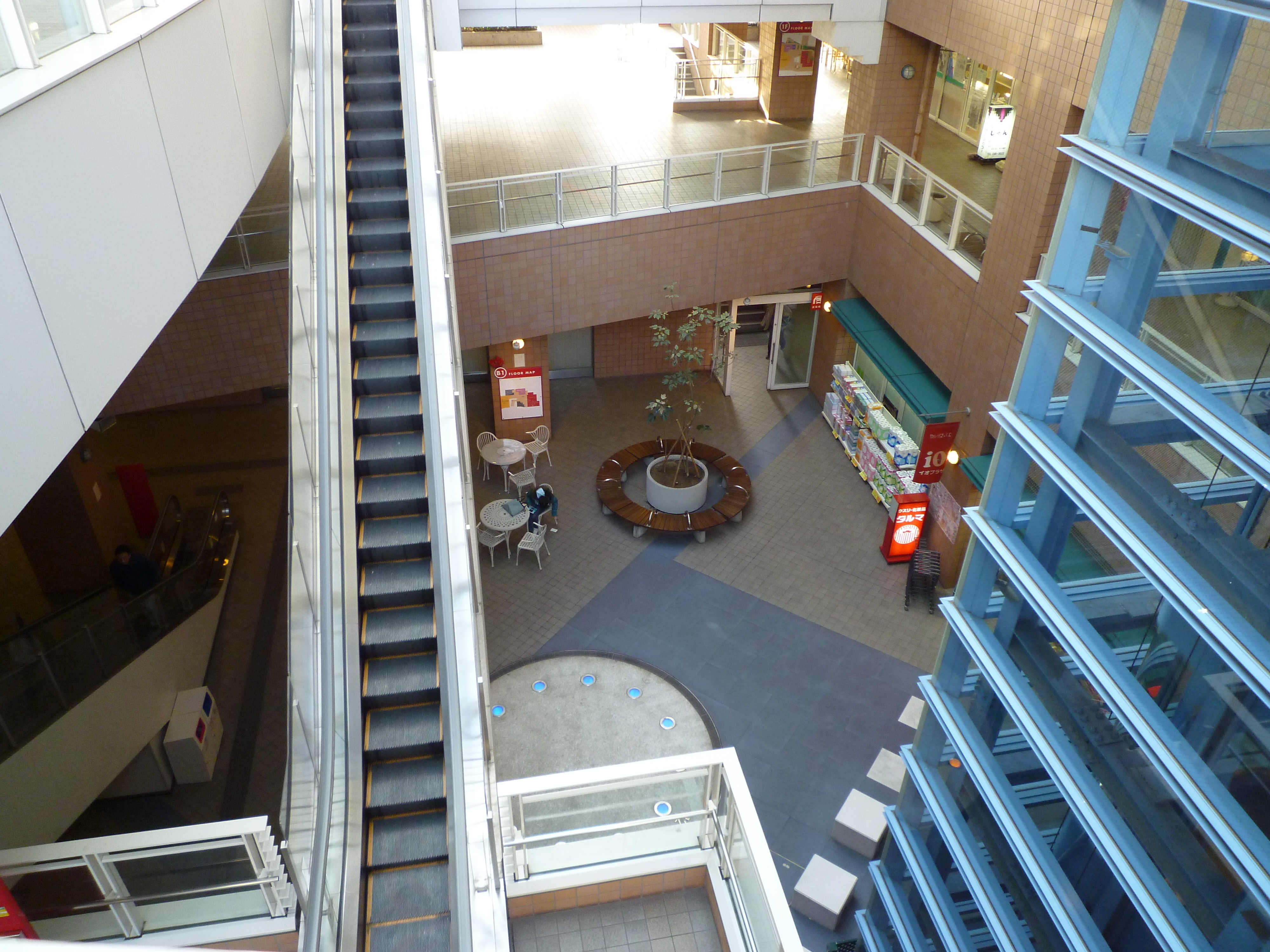 まったり休日 太白図書館 にて発見 猫好きの夢叶う びっき日和