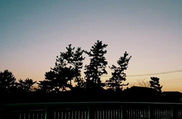 Fotor_152023668034239