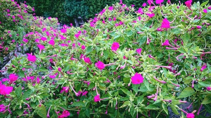 Fotor_153400019482711
