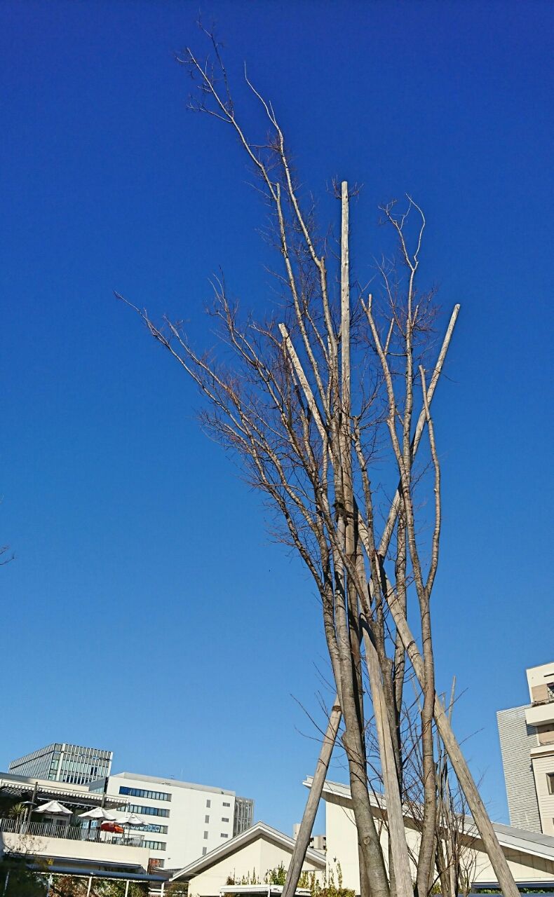 学 ストック 算命