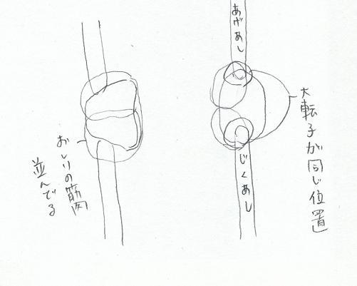 アラベゴン アラベスク アラベスク風 趣味のバレエ