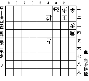 箱庭の争い(9手)
