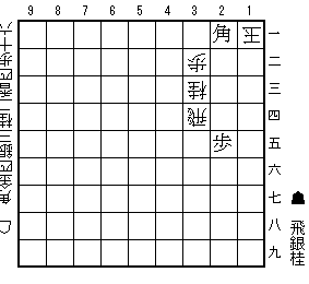 箱庭の攻防（９手）