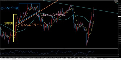 FX,いなご相場,チャート説明