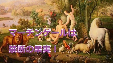 バイナリーオプション,資金管理,マーチンゲール