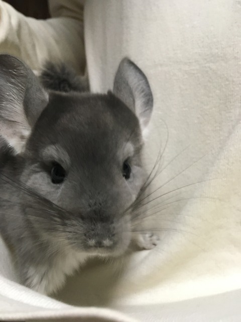 12056BE3-3329-4D7E-849D-959F573F1F81